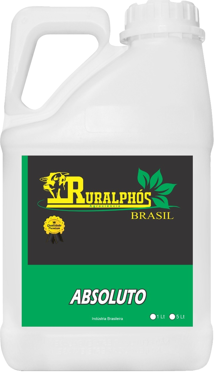 Absoluto