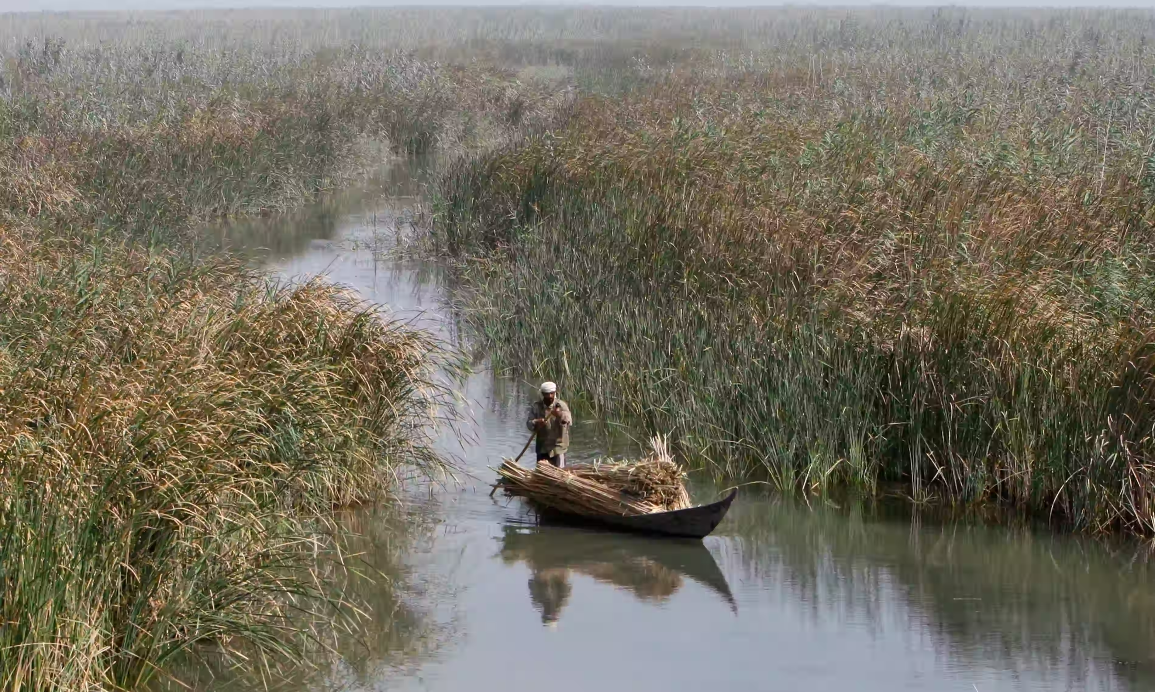 marsh arab in a canoe
