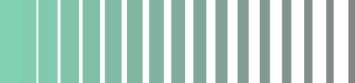 LINES FLAT_edited.png