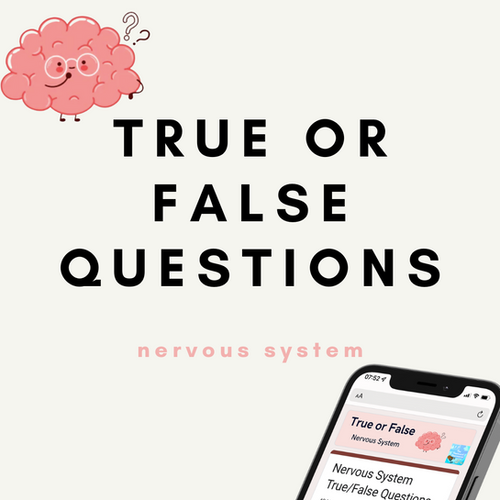 True or False Nervous System Flashcard Pharmacist