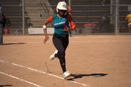 DSC_0230.NEF
