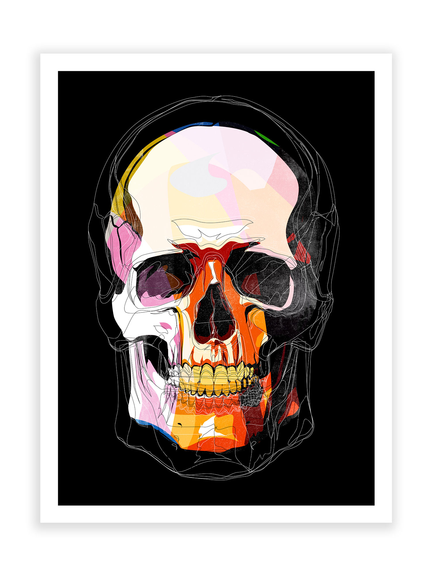 Calavera , lámina 30x40 / 40x60