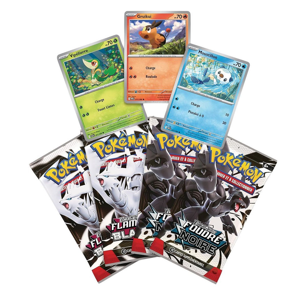 Miniature : Coffret Poster EV10.5 Pokémon – Foudre Noire & Flamme Blanche