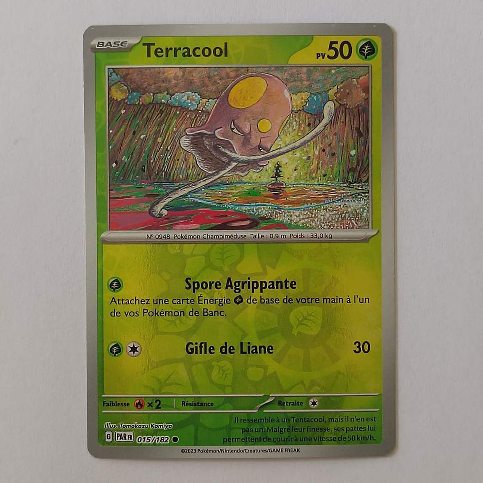Terracool Reverse 015/182 face