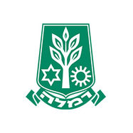 עיריית רמלה