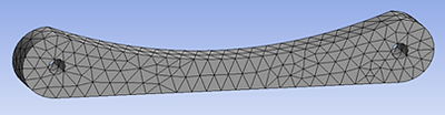 femur 1,1.png