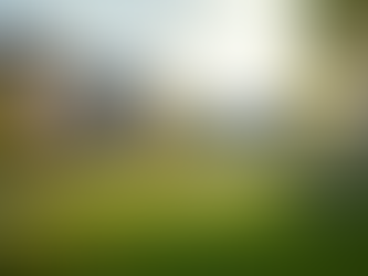 Affordable Housing Solutions for LMI Communities