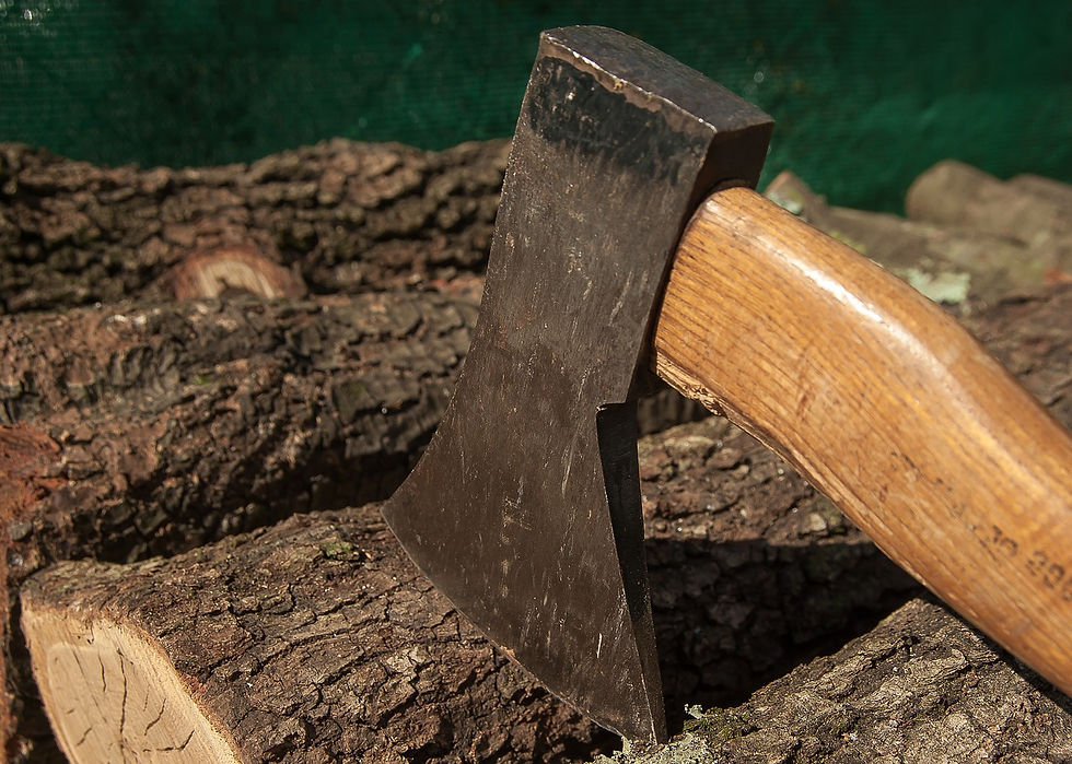 A photo of an axe with the blade resting on a pile of logs.