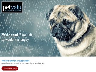 Pet Valu's Long Game