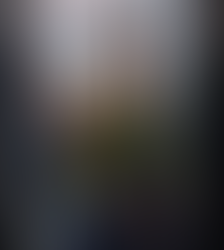 Where WestJet Went Wrong