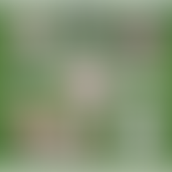 ADdicted: Super Bowl 2026 Edition