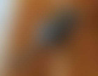 Lessons from a Candy Scoop