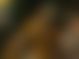 Lessons from Hippo: Reading Augustine’s City of God in a Time of Crises