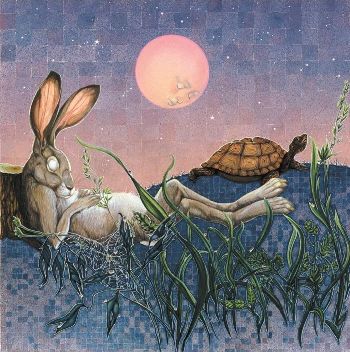 tortoise and the hare