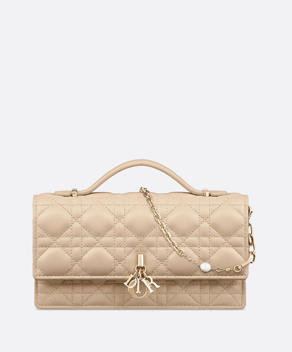 Hình thu nhỏ: Miss dior mini bag 