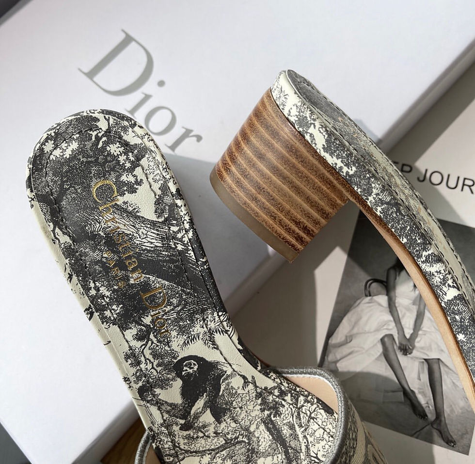 Hình thu nhỏ: Dior The Dway heeled slide