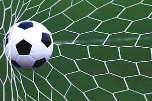 ball in net2_edited_edited_edited.jpg