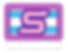 salt logo reverse.png