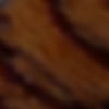 gun handlebackground for store 1.jpg