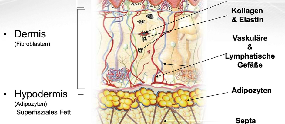 Cellulite Behandlung in Leibnitz und Graz: Effektive Methoden für ein glatteres Hautbild