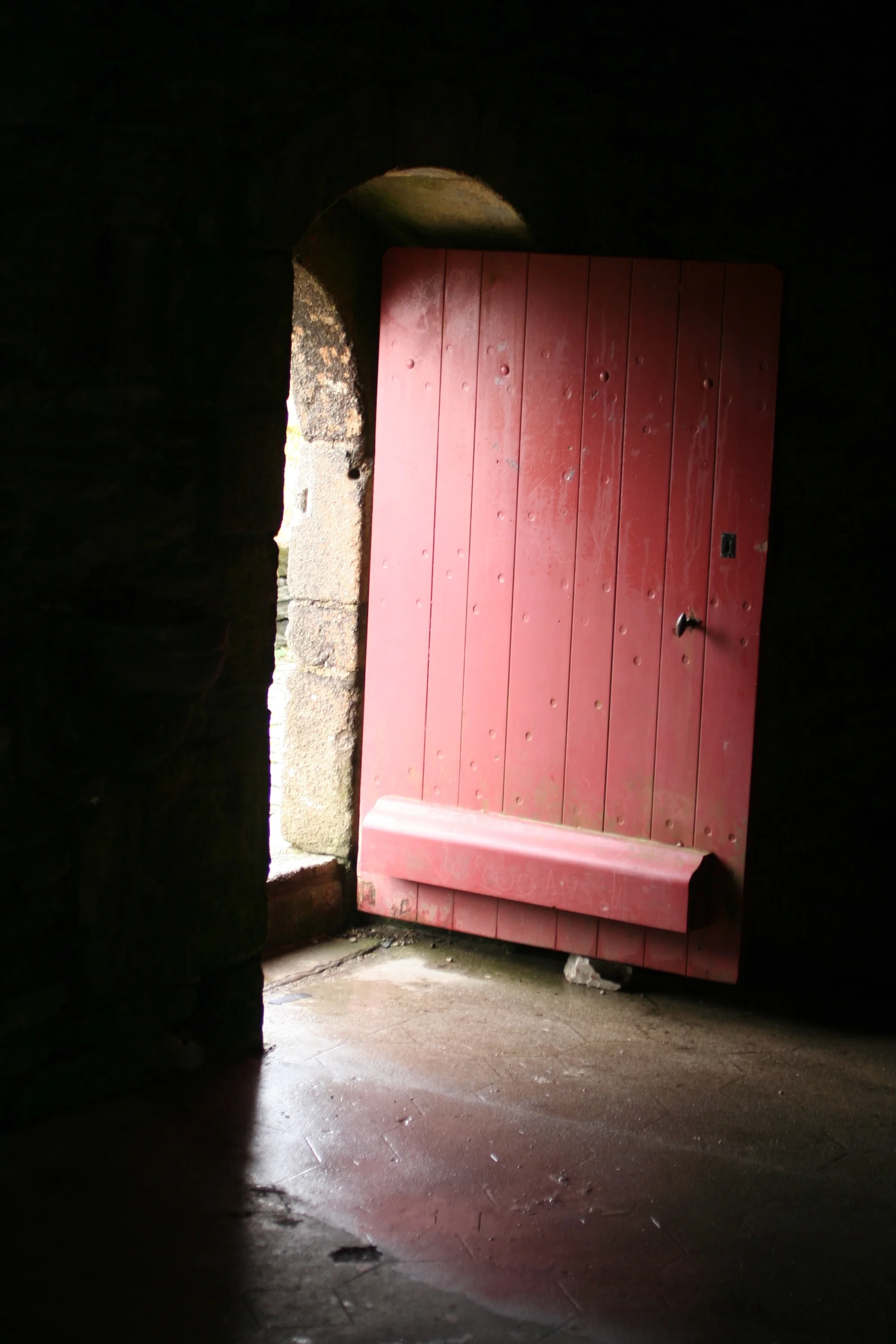 Porte en bois et peinture naturelle