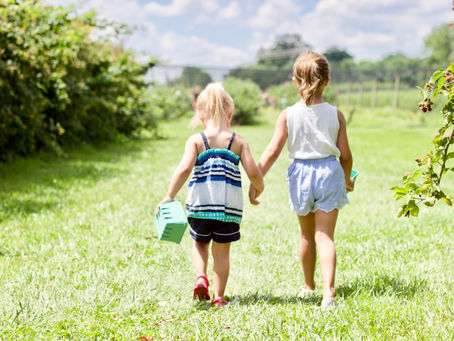 Summer Fun For The Whole Family