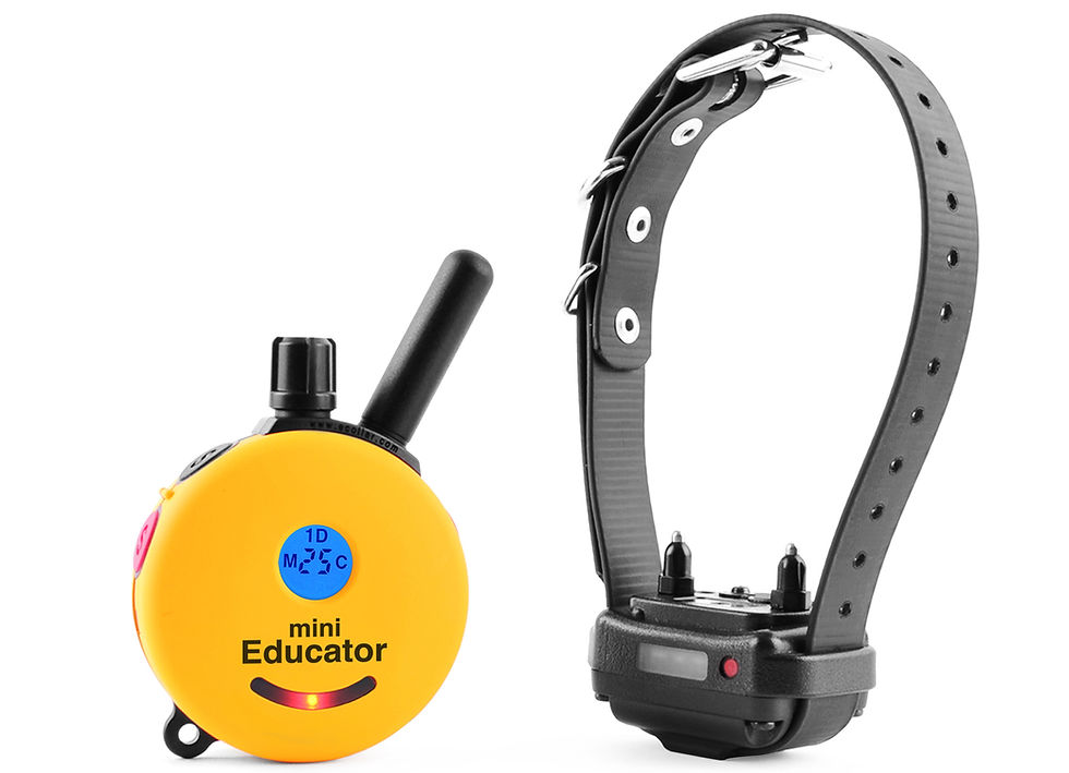 Thumbnail: Educator ET-300 Mini