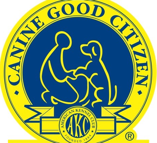 Akc certified trainers clearance