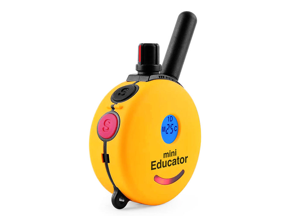 Thumbnail: Educator ET-300 Mini