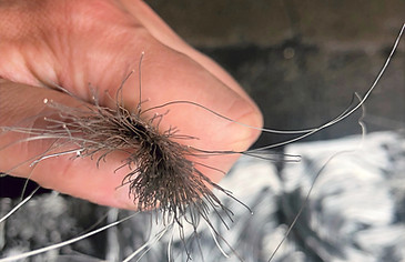 錫引先の目視確認