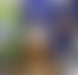 Club Meeting Featuring Aarica Smith, Community Outreach and New Government Affairs for the City of Livonia