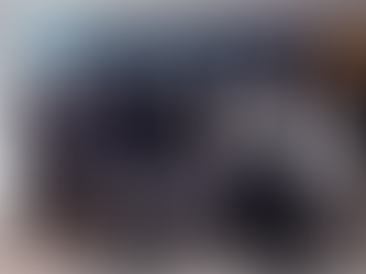 Interact Club's Gifts to the Community