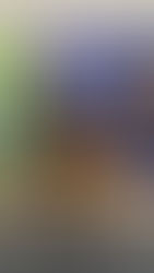 Club Meeting Featuring Russ Jones, District 6400 Foundation