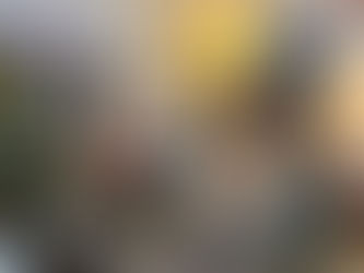 LAMR Christmas Party at the Stechholz Home