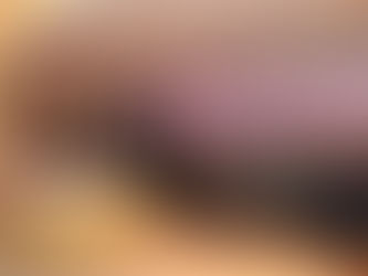 Riverview Rotary's Charter Night Celebration