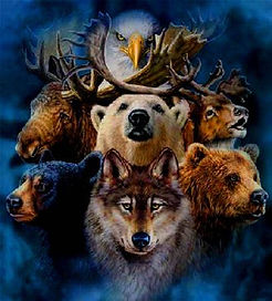 spirit-animals (1).jpg