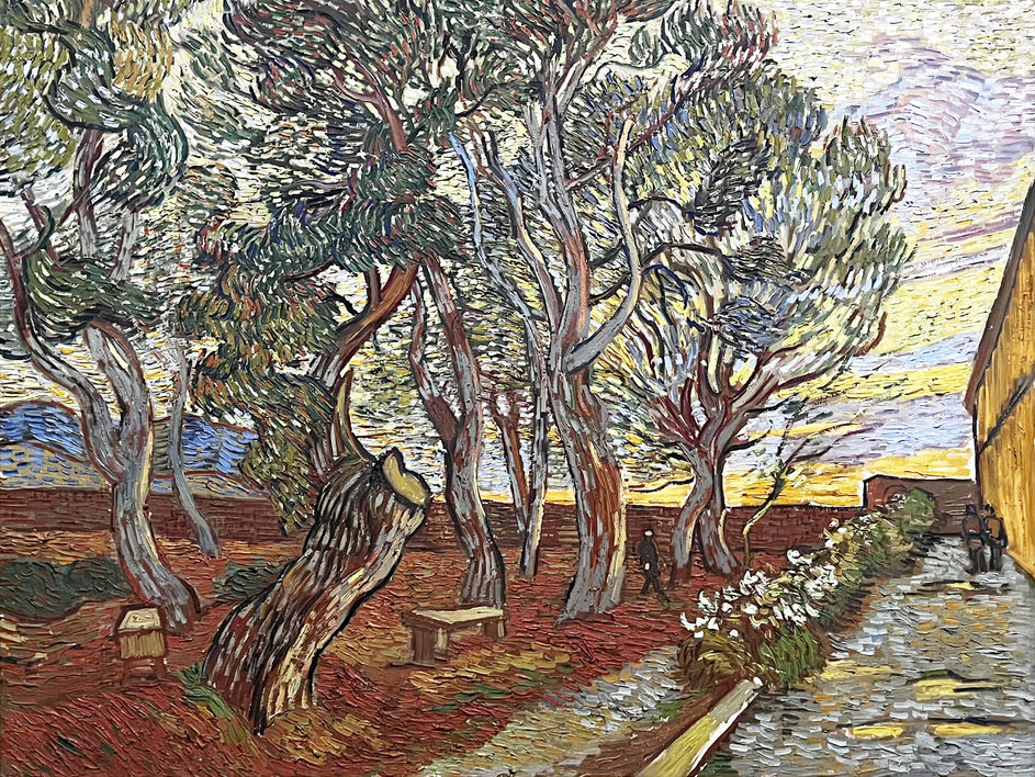 Vincent van Gogh | Jardin de l'hospice Saint-Paul