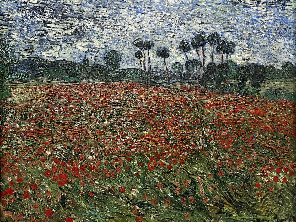 Vincent van Gogh | Champs de coquelicots