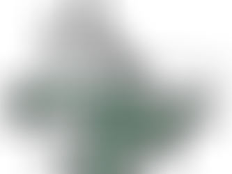 MAY FSA BOOSTER MEETING MINUTES ARE NOW ONLINE!