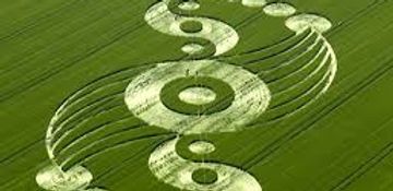 crop circle.jpeg