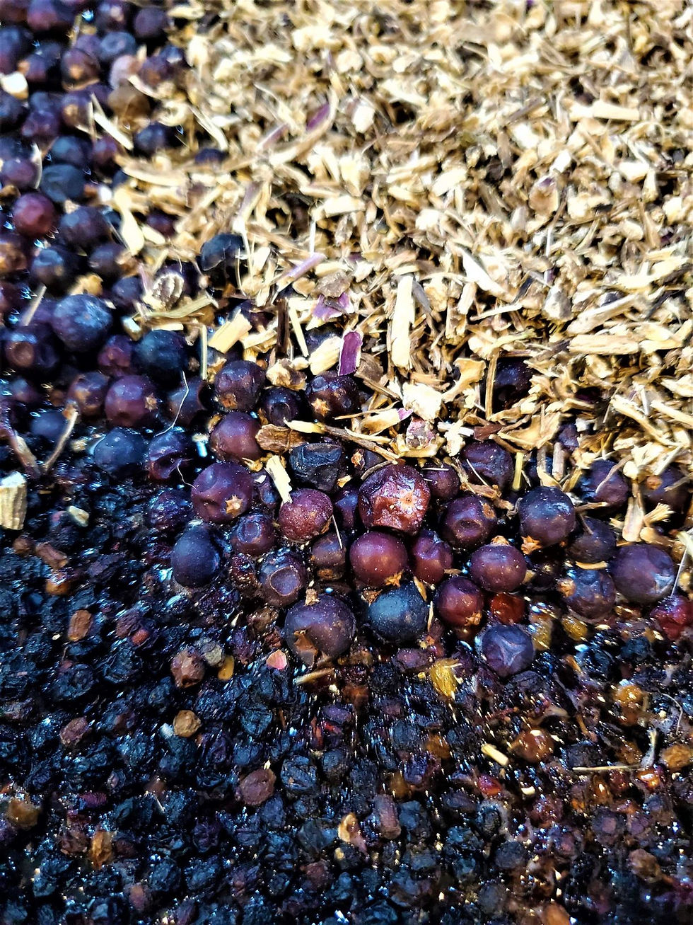 Thumbnail: Elderberry Syrup - 16 fl oz