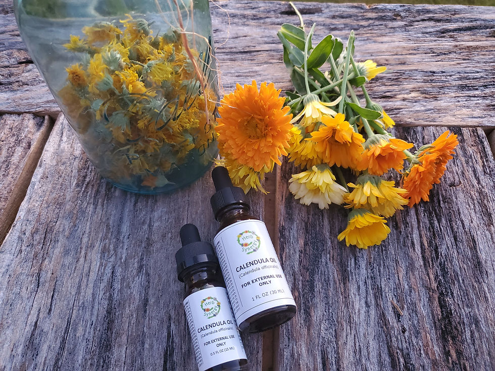 Thumbnail: Calendula Oil (Calendula officinalis) - 1 fl oz