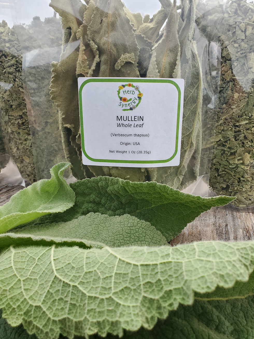 Mullein (Verbascum thapsus) Dried Whole Leaf - 1 oz