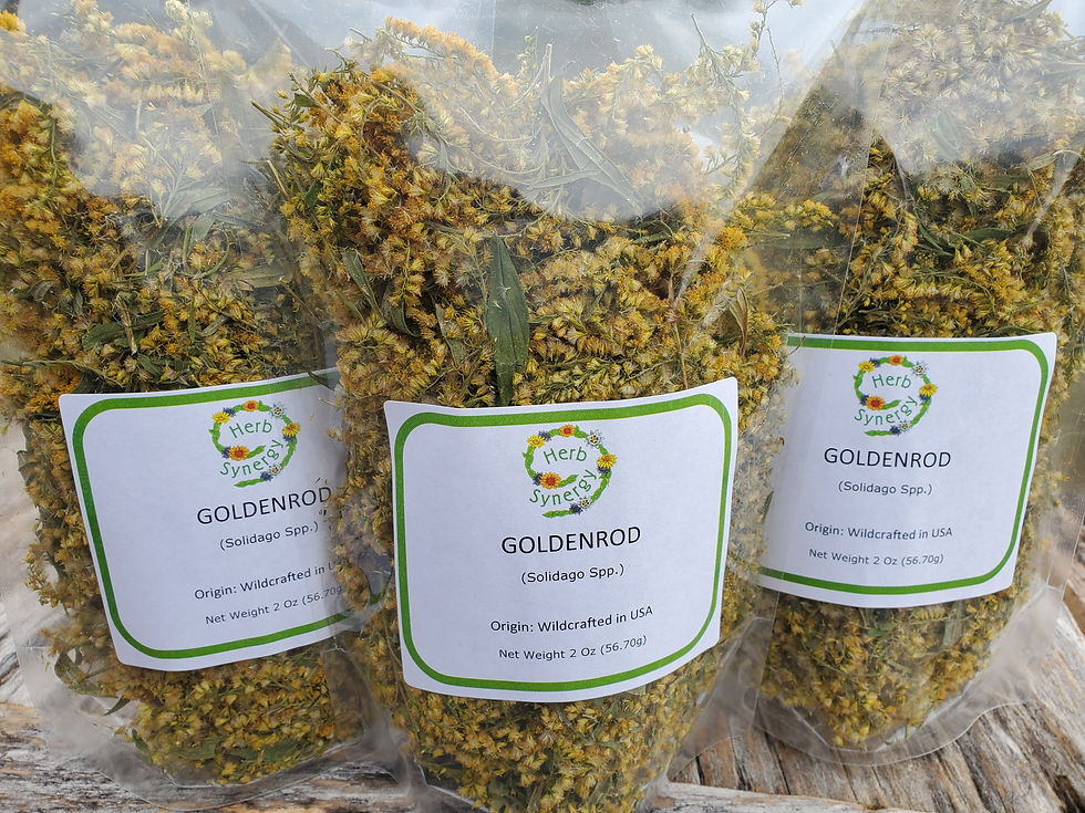 Thumbnail: Goldenrod (Solidago Spp.) dried aerials- 2 oz