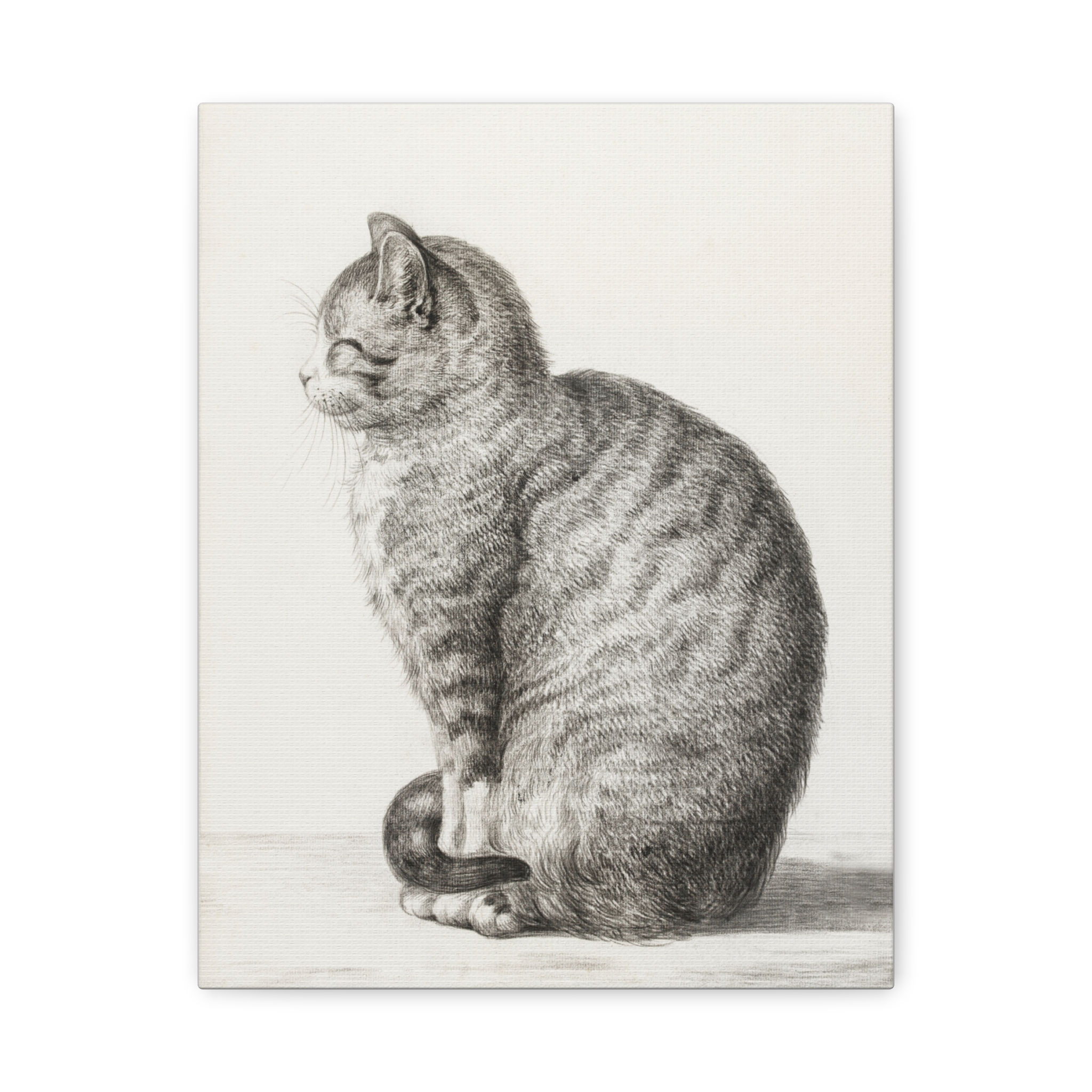 Vintage Contented Cat Canvas Print