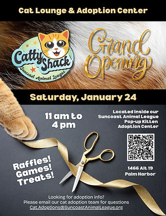 Cat lounge & adoption center.jpg