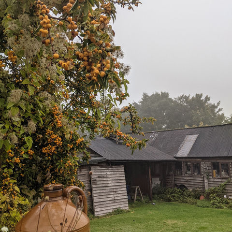 Wobage Farm Craft Workshops Maker Gallery Herefordshire art artist Mick Sheila Casson pottery potter clay woodwork willow barn exhibition crab apple kiln autumn leaves mist