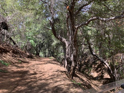 CD8F1FA5-9B95-491B-8CCE-887513042F55