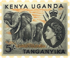 Elephant.jpeg