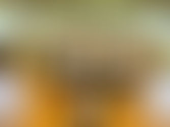 Manoa Champs are RENOVATED!